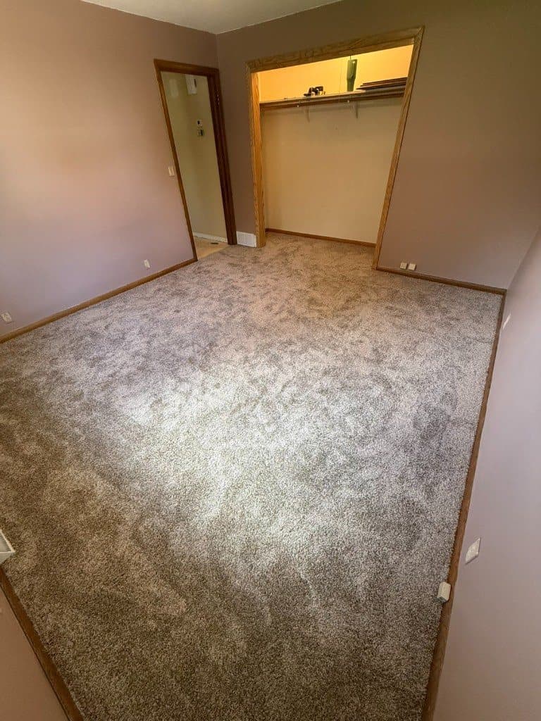 Soft greige carpet in a primary bedroom with a closet and mauve walls